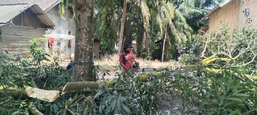 Alat PLN Mulai Masuk, Pelanggan MEP di Muba Bersih-bersih Lokasi Pembangunan Jaringan PLN di Muba