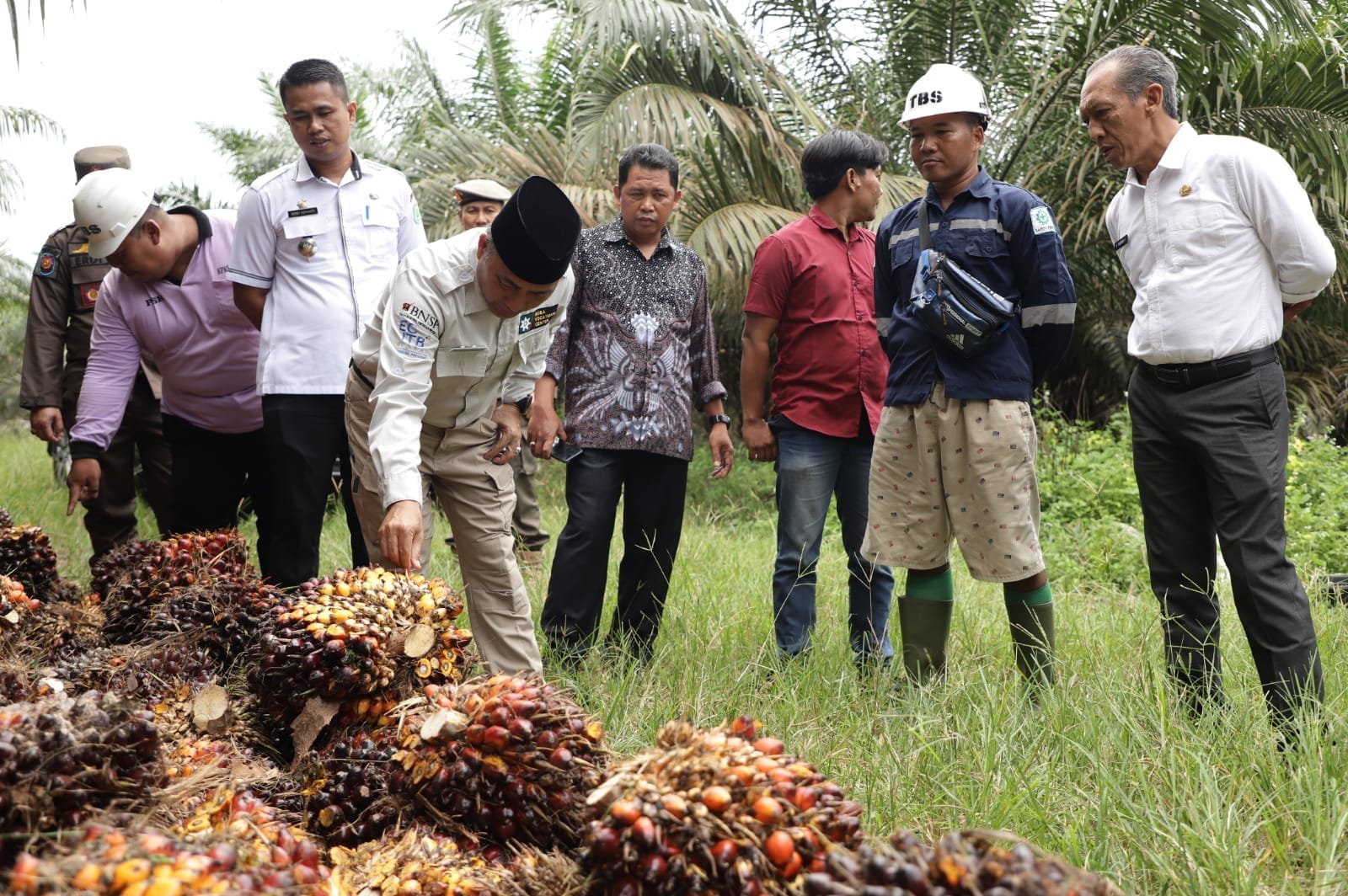 Buka Peluang Investor Garap Pabrik Minyak Goreng di Sungai Lilin