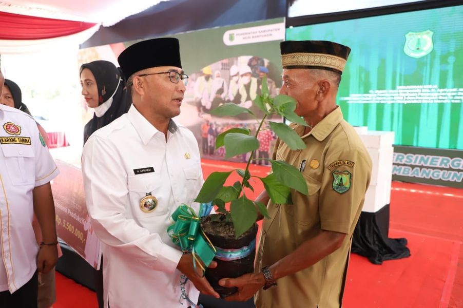 Gelora GSMP di Muba, 15 Ribu Bibit Cabai Tertanam Selama Satu Bulan