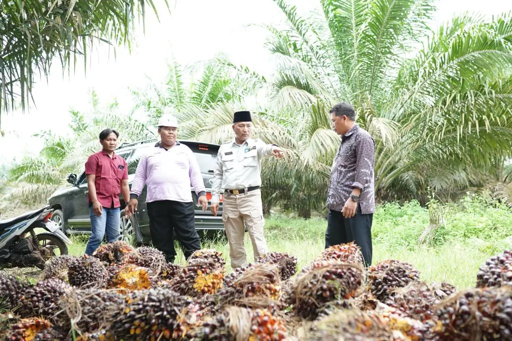 Hore, Pendapatan Muba dari DBH Sawit Terbesar di Sumsel