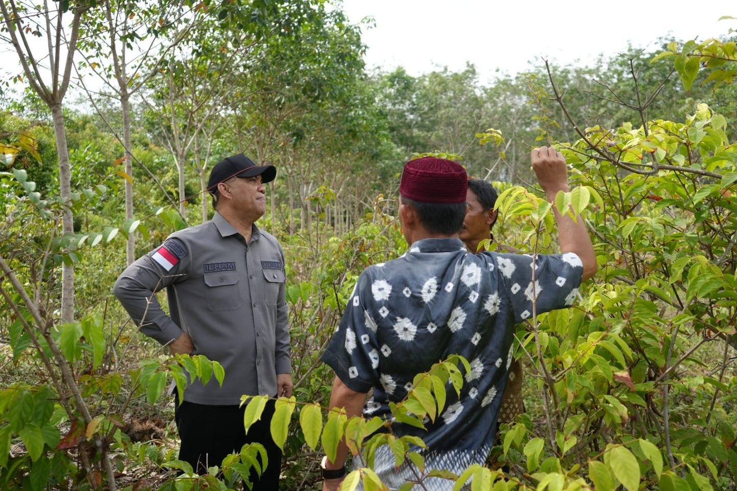 Kakanwil Kemenkumham Sumsel Tinjau Tanaman Gambir Sebagai Indikasi Geografis Muba