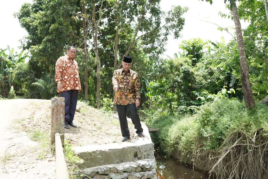 Khawatir Bakal Ambruk, Pj Bupati Apriyadi Cek Jembatan Desa Tanjung Agung Lais