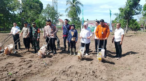 Musi Banyuasin Targetkan Swasembada Pangan 2025: