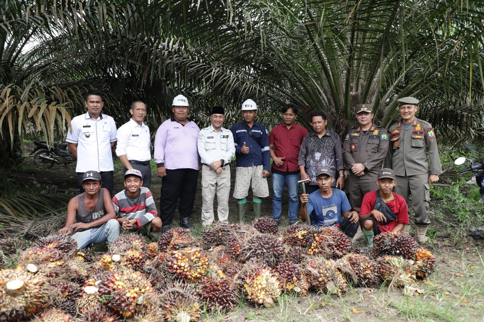 Pj Bupati Apriyadi Sambangi Petani Sawit di Desa Sidorejo Keluang