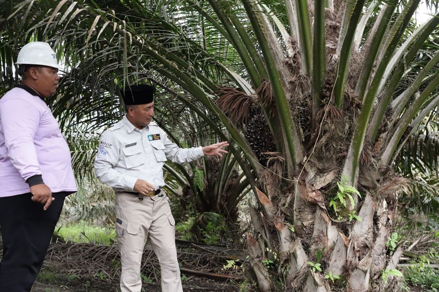 Pj Bupati Muba H Apriyadi Raih Penghargaan Inovasi Permodelan Pendampingan Sawit Rakyat 