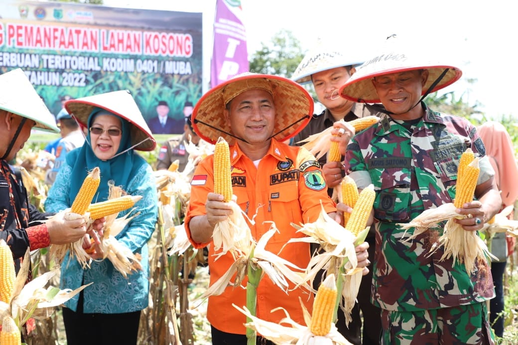 Realisasi Nyata Jalankan Instruksi Presiden Jokowi Jaga Ketahanan Pangan 